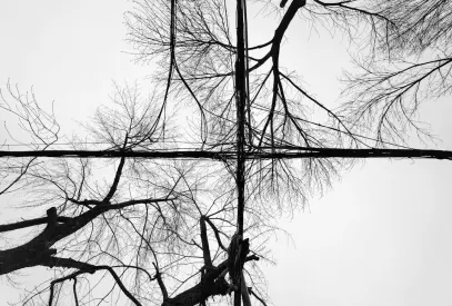 Billion Casino Farsímaforrit